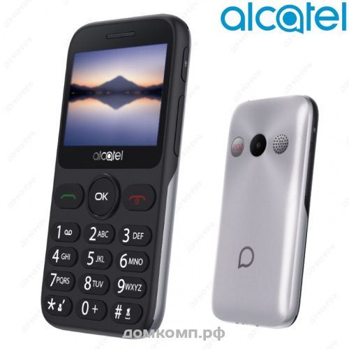 Мобильный телефон Alcatel 2019G серебро