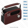 Радиоприемник Ritmix RPR-045
