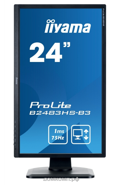 Монитор 24 дюйма Iiyama ProLite B2483HS-B3 ( VA LED, 16:9, 1920x1080, 1ms, VGA+HDMI, M/M, HAS, PIVOT)